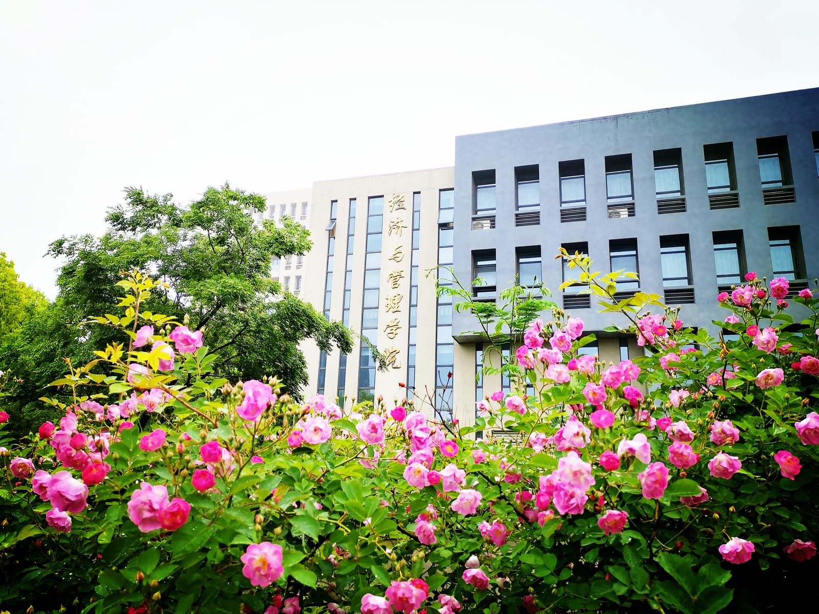 Why study Corporate Management