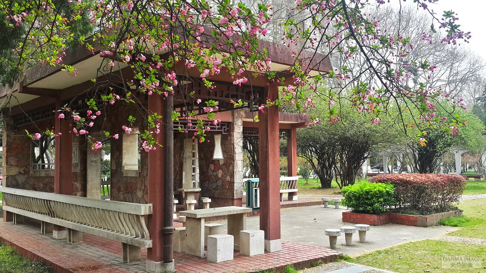 Campus Map